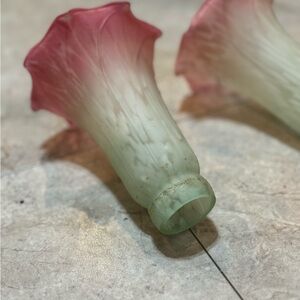 Lily lamp glass lamp shade. Set of 2.